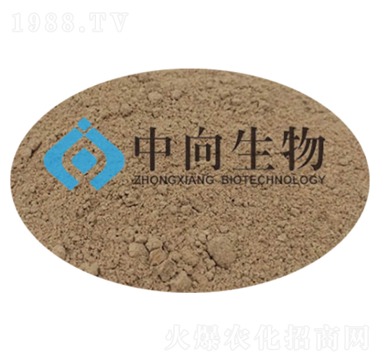 �ݲ�ѿ�ߗU��-��������