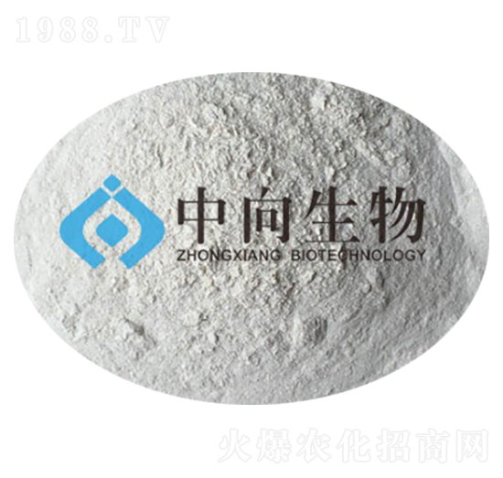 �޴�ѿ�ߗU��-��������