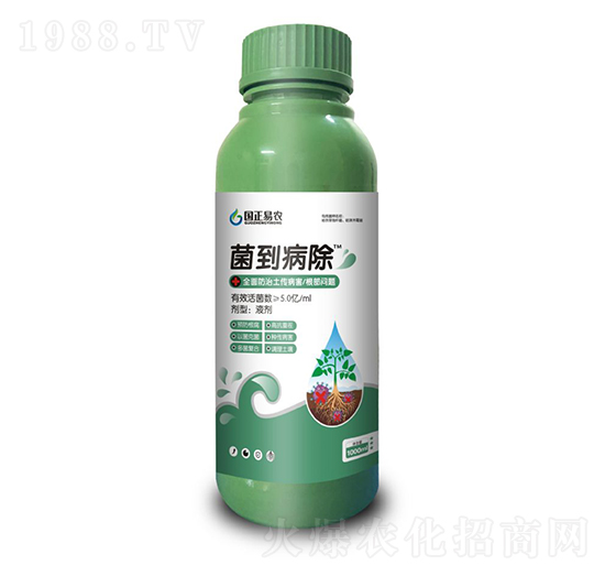 菌到病除（全面防治土傳病害根部問(wèn)題）-國(guó)正易農(nóng)