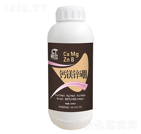 �}�V�\��-����-�֮��