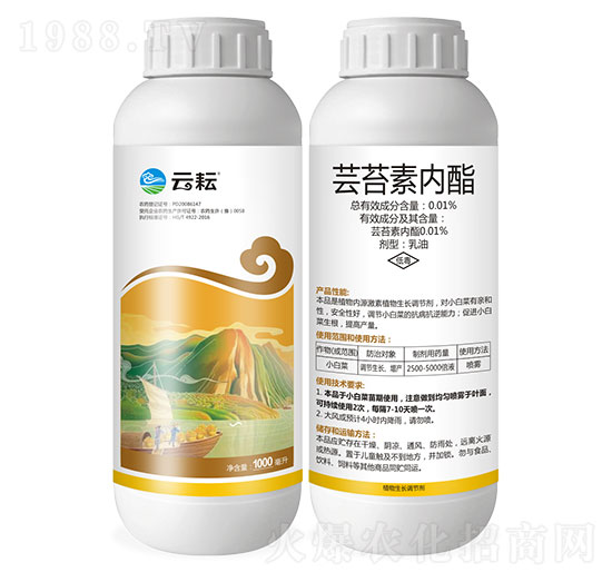 �|̦�؃���-����