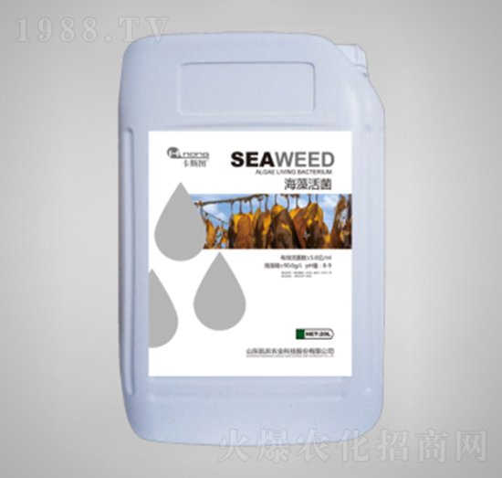 ������-���r(n��ng)�r(n��ng)�I(y��)