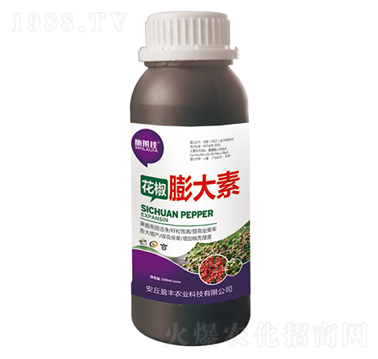 ���������-�S�T�f��-ӯ�S�r(n��ng)�I(y��)