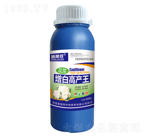 1000�˻������׸߮a��-ʩ�R��-ӯ�S�r�I(y��)