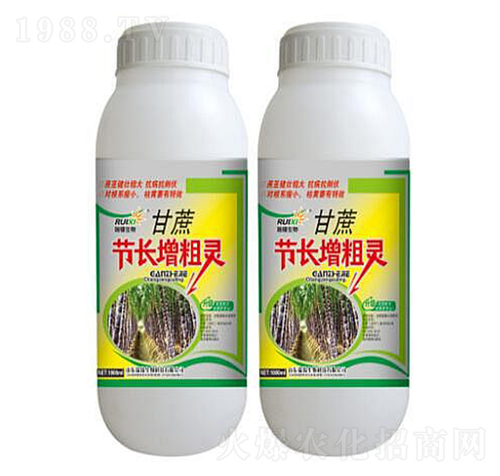 ���ṝ(ji��)�L(zh��ng)���ַ�-���a����