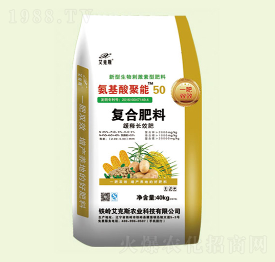 ��������܏ͺϷ���-����˹