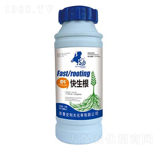 ����������-ʷ����