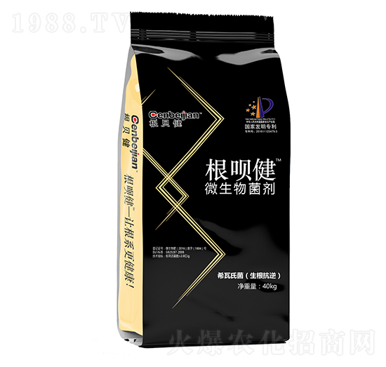 ΢��������w��-���h��-��ؐ��