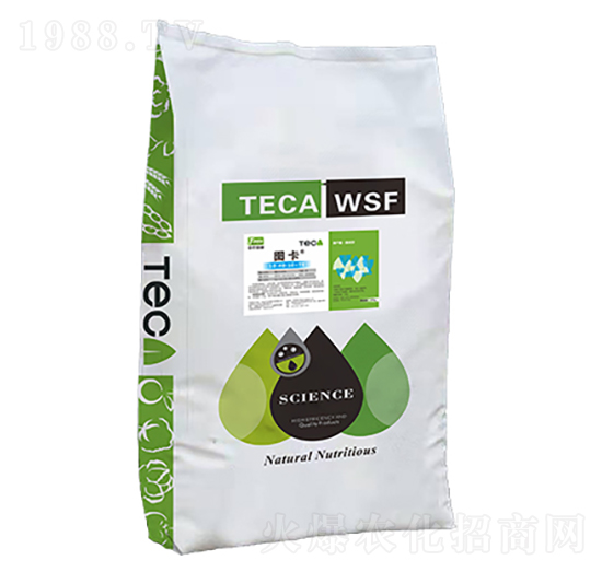 �D�����{��-ͬ������