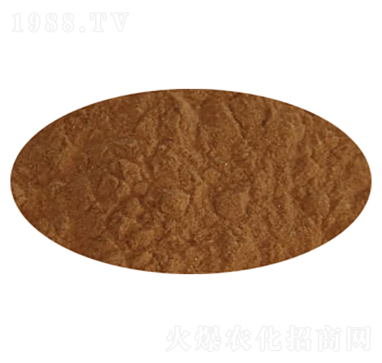 ������-��Ȼ��