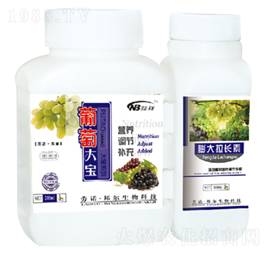 ���Ѵ�-������