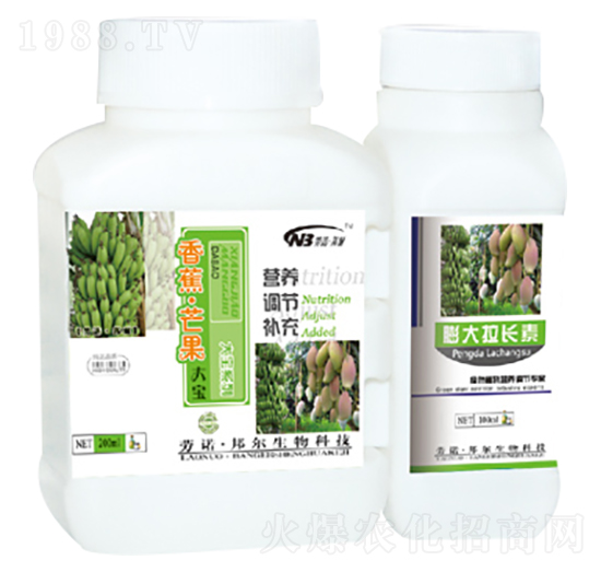 �㽶��â����-������