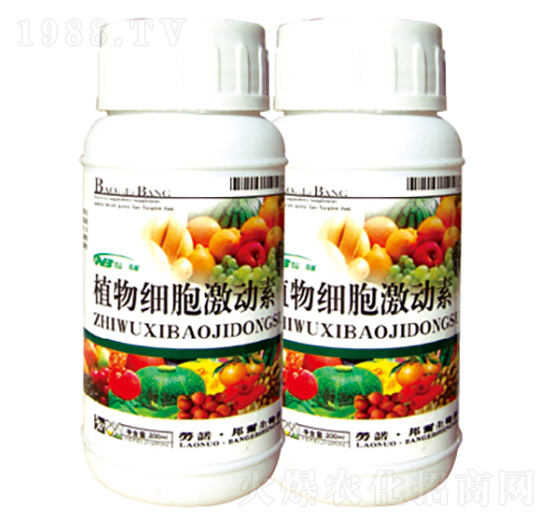 ֲ�：(x��)��������-������