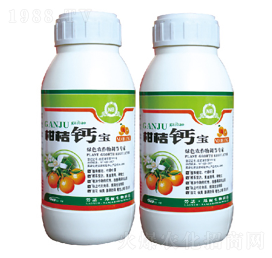 �ٻ���ѿ����-�̽��}��-������