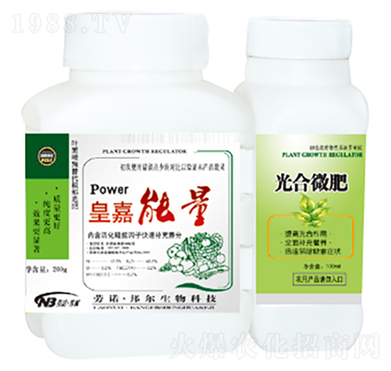 �ʼ����������΢��-������