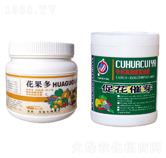 ������+�ٻ���ѿ-������