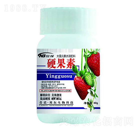 50gӲ����-������