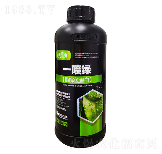 酶解魚(yú)蛋白-一噴綠-海岱綠洲