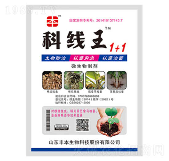 ΢�������-�ƾ���1+1-�S������