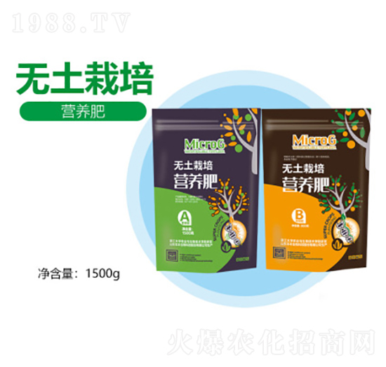 �o(w��)������I(y��ng)�B(y��ng)��-�S������