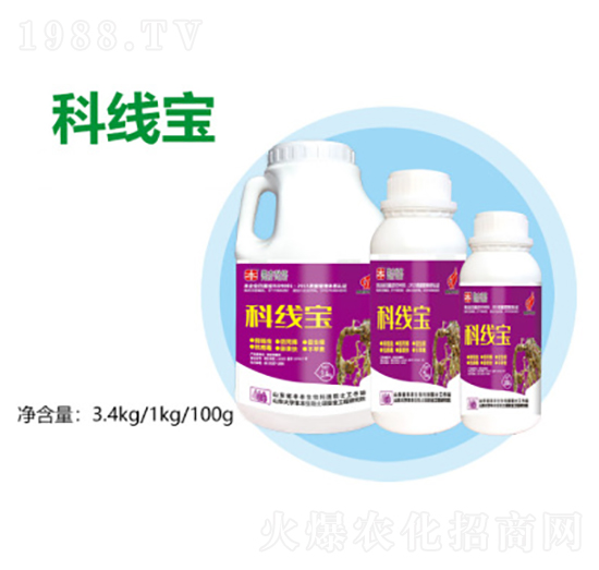 �ƾ���-�S������