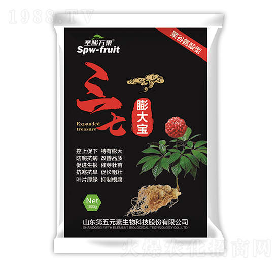 �������-ʥ���f(w��n)��-����Ԫ��