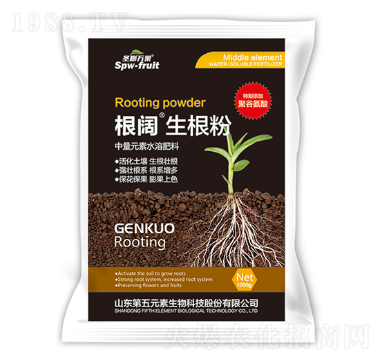 1000g���������-ʥ���f(w��n)��-����Ԫ��