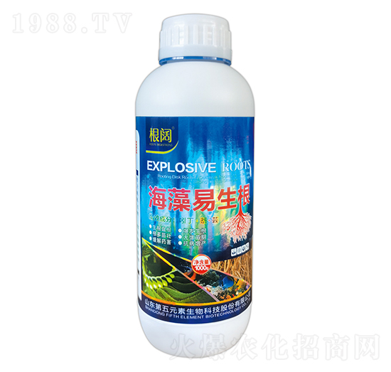 ����������-���-����Ԫ��