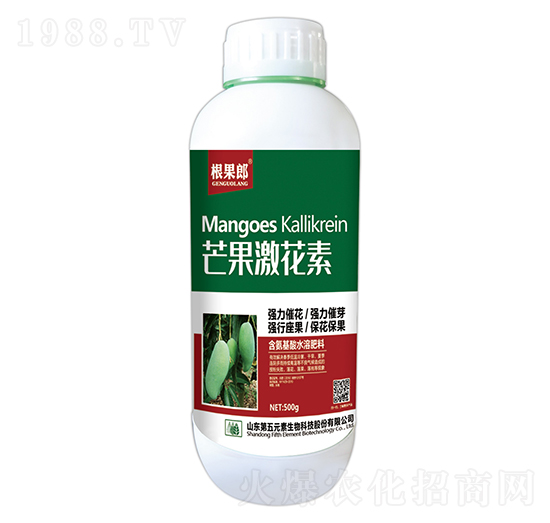 500gâ��������-������-����Ԫ��