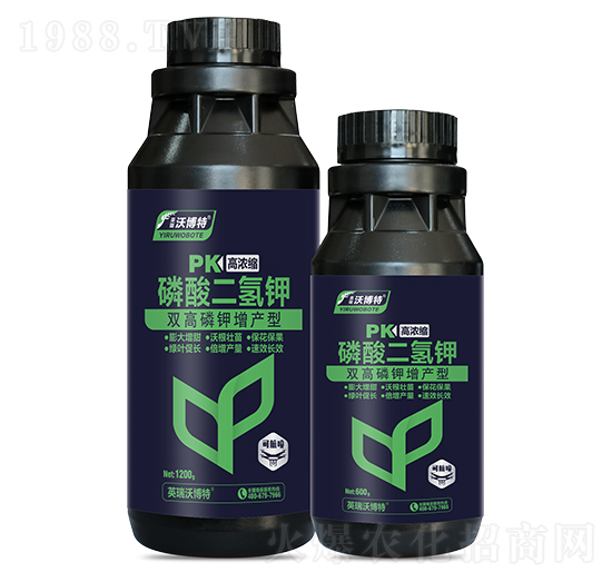 �ߝ�s��������-Ӣ���ֲ���