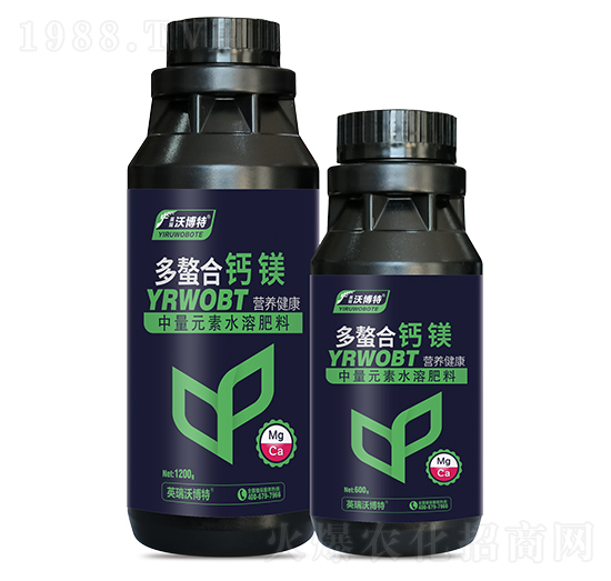 �������}�V-Ӣ���ֲ���