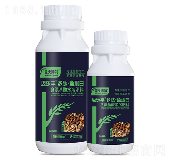 ��ˎ��������ġ��~����-�~���S-Ӣ���ֲ���