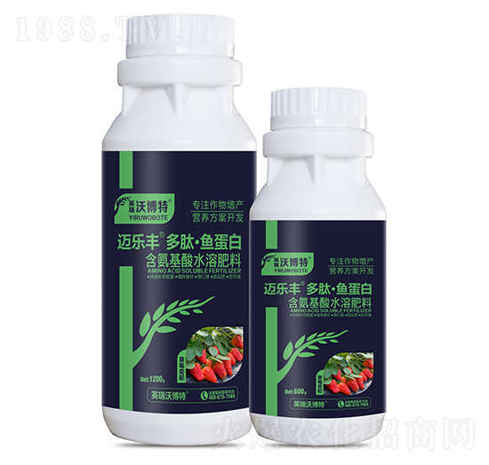 草莓需配多肽·魚蛋白-邁樂豐-英瑞沃博特