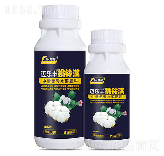 ��⏝M-�~���S-Ӣ���ֲ���