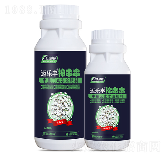 �޴���-�~���S-Ӣ���ֲ���