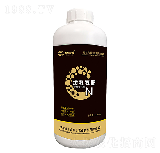 ��ጵ���-�뮀��