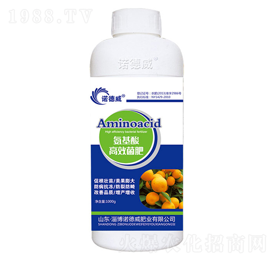 �������Ч����-�Z����