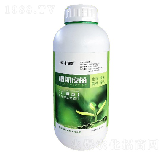 1Lֲ������-��