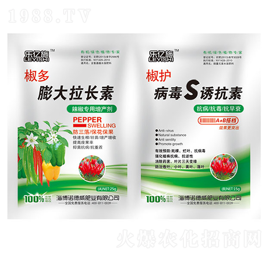 ����������L��+���o����S�T����-�Z����