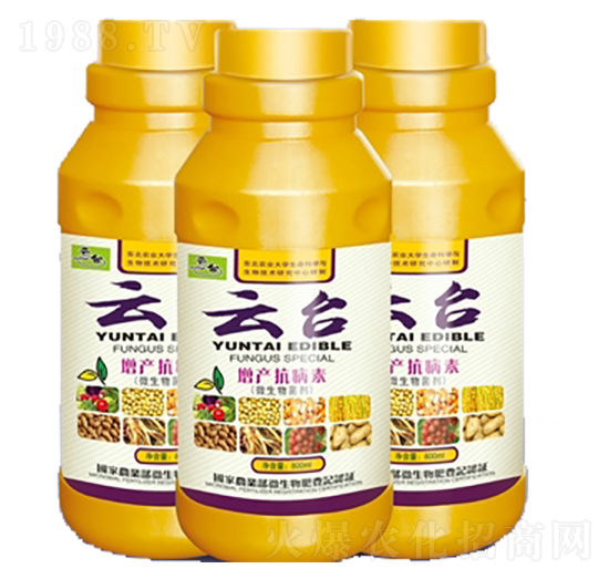 ���a(ch��n)������-���_