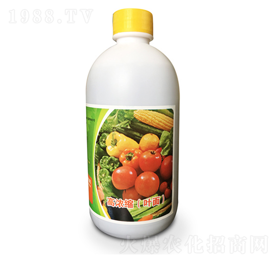 ���������~���-���ɾG��