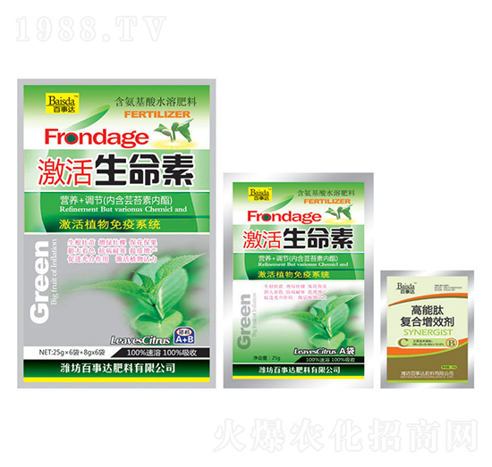 ����������-�����_(d��)