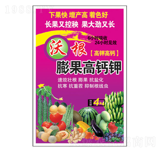 �ָ�������}�-�����_