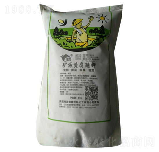 �VԴ�S�����-�����طʘI(y��)