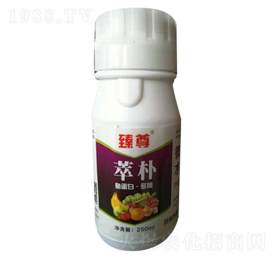 �~���ס�����-�����͘�-�����طʘI(y��)