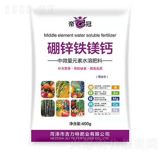 ���\�F�V�}-�����طʘI(y��)