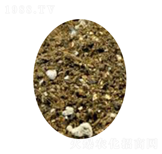 ������ľ�I(y��ng)�B(y��ng)��-�s�S����