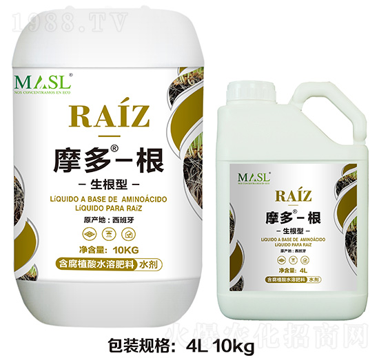 生根型摩多·根-艾德拉