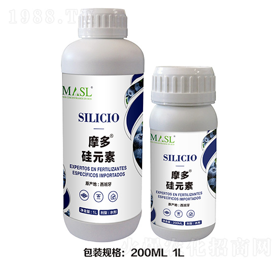 摩多·硅-艾德拉