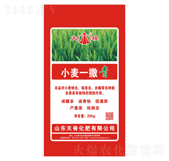 С��һ����-���-�켹